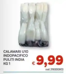 Vivo Supermercati Calamari U10 Indopacifico Puliti India offerta