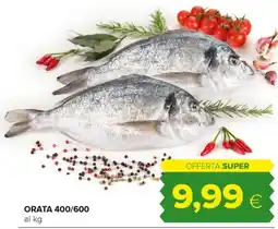 Tigre Orata offerta