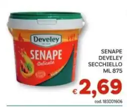 Vivo Supermercati Senape Develey Delicata offerta