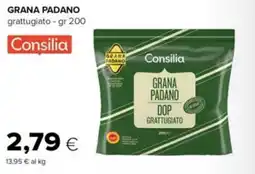 Tigre Consilia Grana Padano DOP grattugiato offerta