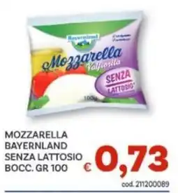 Vivo Supermercati Mozzarella Bayernland senza lattosio offerta