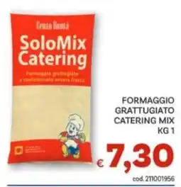 Vivo Supermercati SoloMix Catering offerta