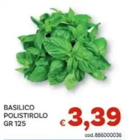 Vivo Supermercati Basilico polistirolo offerta