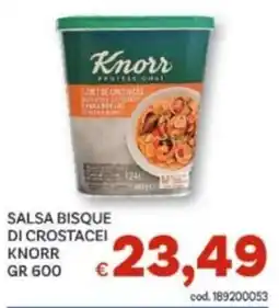 Vivo Supermercati Salsa bisque di crostacei Knorr offerta