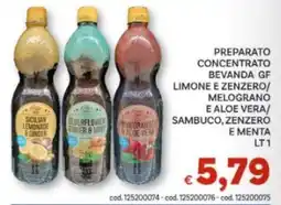 Vivo Supermercati Preparato concentrato bevanda gf limone e zenzero/ melograno e aloe vera/ sambuco, zenzero e menta offerta