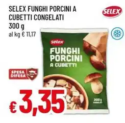 Famila Selex funghi porcini a cubetti offerta