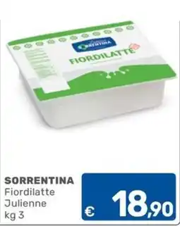 ARCA C+C cash and carry Fiordilatte Julienne offerta