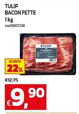 C+C maxigross Tulip bacon fette offerta