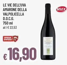 Famila Le vie dell'uva Amarone della Valpolicella D.O.C.G. offerta
