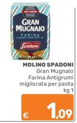 ARCA C+C cash and carry Molino Spadoni Gran Mugnaio Farina Antigrumi offerta
