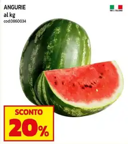C+C maxigross Angurie offerta
