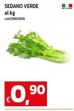 C+C maxigross Sedano verde offerta