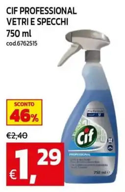 C+C maxigross Cif Professional vetri e specchi offerta