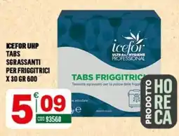 Tutto Risparmio Cash&Carry Icefor tabs sgrassanti per friggitrici offerta