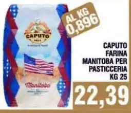 Bitar Caputo farina per pasticceria Manitoba offerta