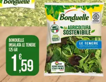 Supermercato Pollio Bonduelle insalata le tenere offerta