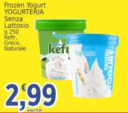 Market Ingross Frozen Yogurt YOGURTERIA offerta