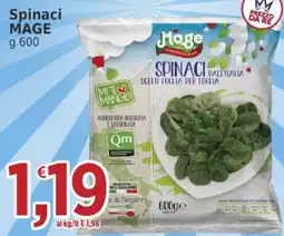 Market Ingross Spinaci Mage offerta
