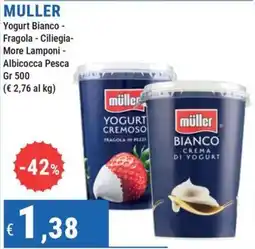 DiMeglio Yogurt Bianco Müller offerta