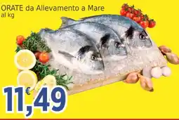 Market Ingross Orate da Allevamento a Mare offerta