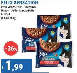 DiMeglio Felix Sensation offerta