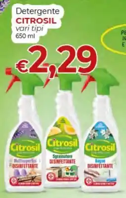 Maxi Nonna Isa Detergente Citrosil vari tipi offerta
