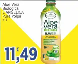 Market Ingross Aloe vera biologica L'Angelica offerta