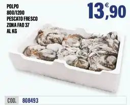 Adhoc Polpo offerta
