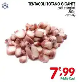 D'Ambros Tentacoli totano gigante offerta