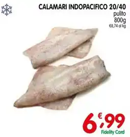 D'Ambros Calamari indopacifico offerta