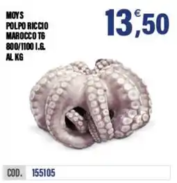 Adhoc Polpo riccio offerta