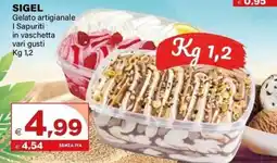 Boningros Cash and Carry Sigel gelato artigianale i sapuriti in vaschetta offerta