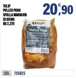 Adhoc Tulip pulled pork offerta