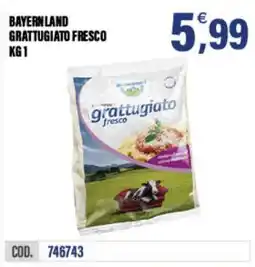 Adhoc Bavaria grattugiato fresco offerta