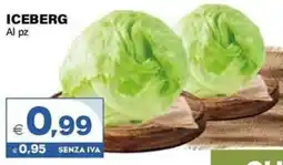 Boningros Cash and Carry Iceberg offerta