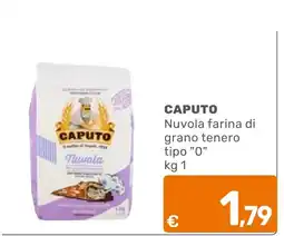 C+C Cash and Carry Caputo Nuvola farina di grano tenero tipo "0" offerta