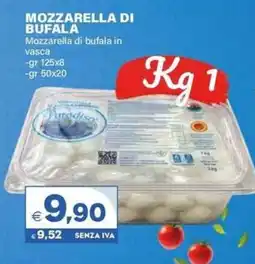 Boningros Cash and Carry Mozzarella di bufala Mozzarella di bufala in vasca offerta