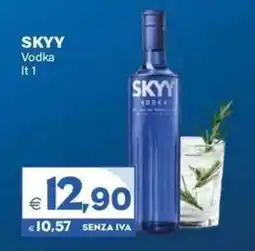 Boningros Cash and Carry SKYY Vodka offerta