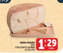 Deco Maxistore Grana Padano DOP offerta