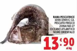 Deco Maxistore Rana pescatrice offerta
