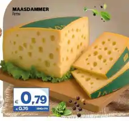 Boningros Cash and Carry Maasdammer offerta