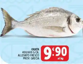 Deco Maxistore Orata offerta