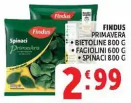 Deco Maxistore Findus Spinaci Primavera offerta