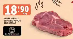 Deco Maxistore Cuore di reale di bovino adulto Black Angus offerta