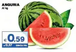 Boningros Cash and Carry Anguria offerta