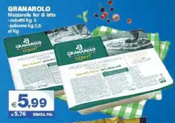 Boningros Cash and Carry Granarolo mozzarella fiordilatte offerta