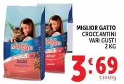 Deco Maxistore Miglior gatto croccantini offerta