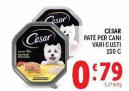 Deco Maxistore Cesar paté per cani offerta