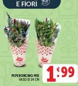 Deco Maxistore Peperoncino mix offerta