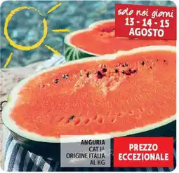 Deco Maxistore Anguria offerta